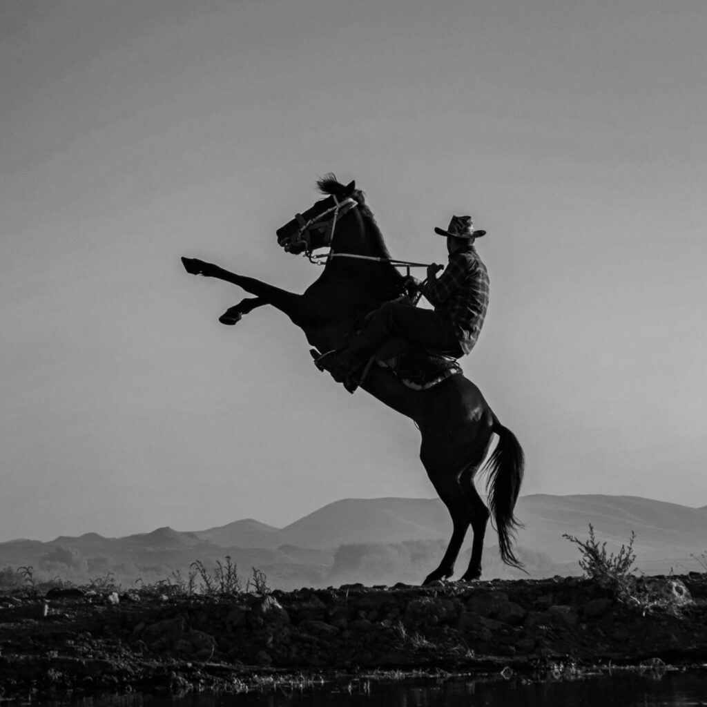 starting a lifestyle brand with a western horseman